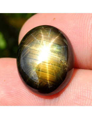 Dijual Batu Cincin Permata Mulia Golden Black Star Sapphire 12 Rays Safir Hitam Emas Bintang 12 Sinar Thailand Oval Alami Natural 16.69 Ct. Bersertifkat